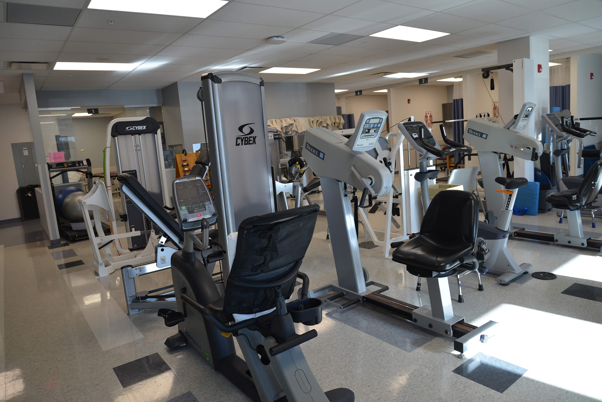 Physical Therapy Equipment